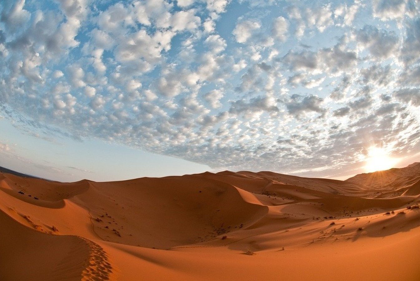 Désert du Sahara Dunes Trek à Chameau